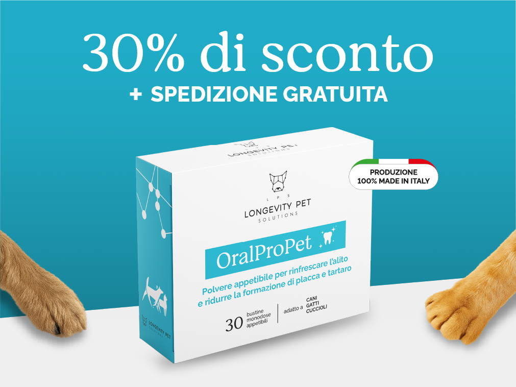 Longevity Pet_Club Pellegrini_Grafica